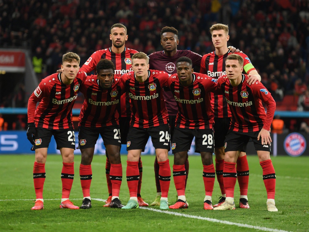 费福利带起 费福利带起