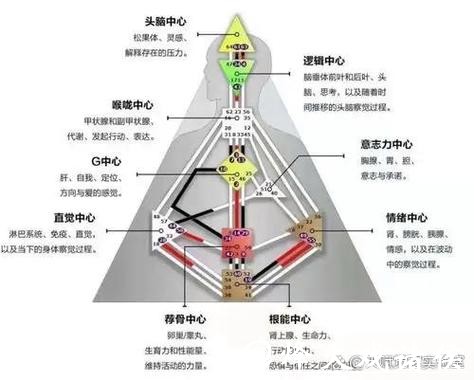 世界杯买球背后的心理学分析探讨 世界杯买球背后的心理学分析探讨